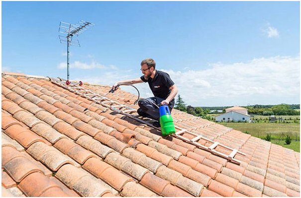 Dachleiter aus Holz 2x2.50m ohne Haken - 1220-001