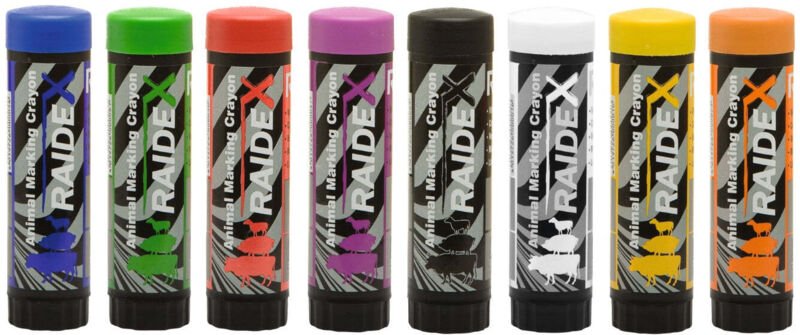 Markierungsstifte raidl lila