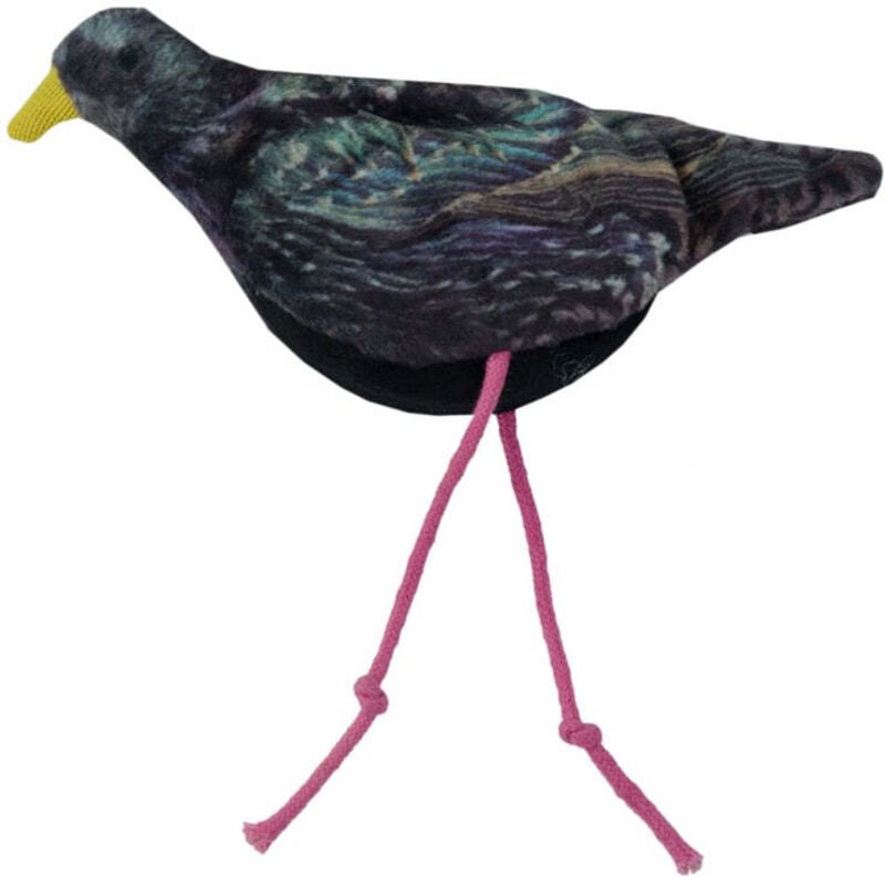 Wildleben katzenstar