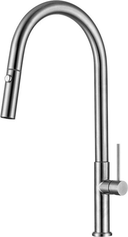 Swiss Aqua Technologies - Einhebelmischer mit ausziehbarer Brause und Schwenkarm, 2 Düsen, Edelstahloptik