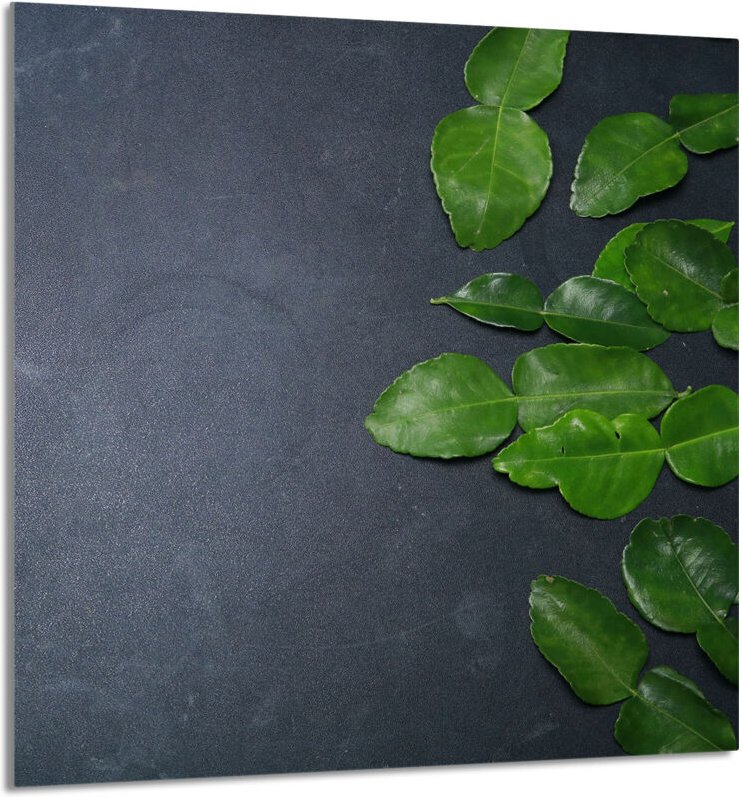 GLASPLATTE FÜR KÜCHE 60x65 Schiefer