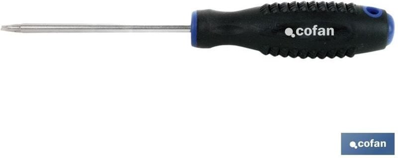 Cr-Molybdän-Schraubendreher 8x100