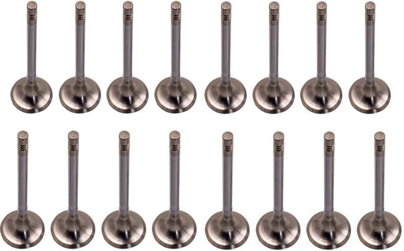 16x Einlassventil Auslassventil für Mercedes Benz M27 12710501127 2710531001