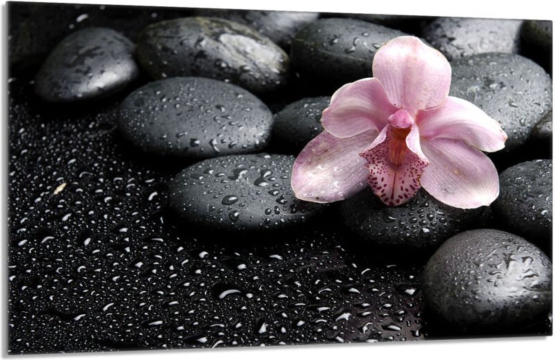 Glasschutzplatte für den Herd 80x52 Orchidea