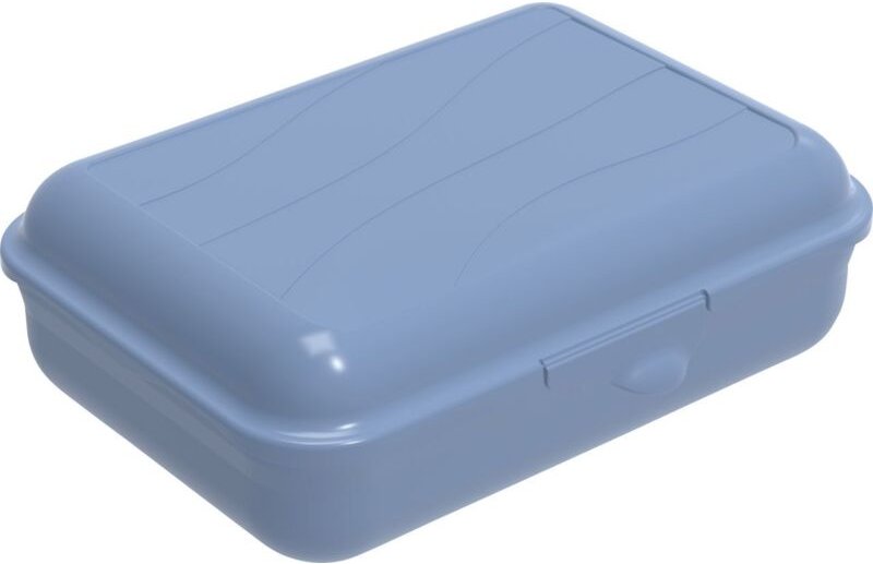 Rotho - Brotdose Funbox 1,25 l, 19,5 x 14,5 x 6,5 cm, horizon blue Boxen, Körbchen & Kisten
