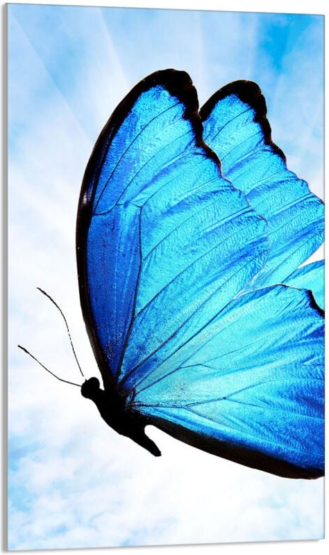 Glasschneidebrett 30x52 Schmetterling