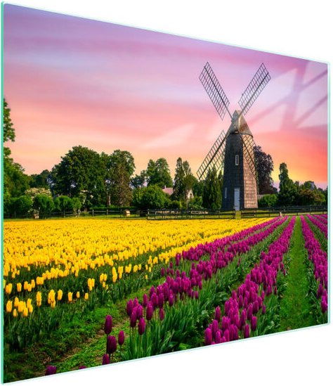 Glasschneidebrett 52x30 Wiese