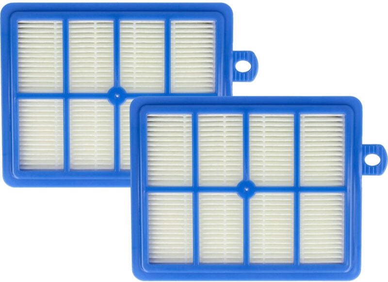 2x Staubsaugerfilter kompatibel mit aeg Viva Control avc 1154, 1155, 1156, 1157, 1151, 1152, 1153 Staubsauger - Abluftfi...