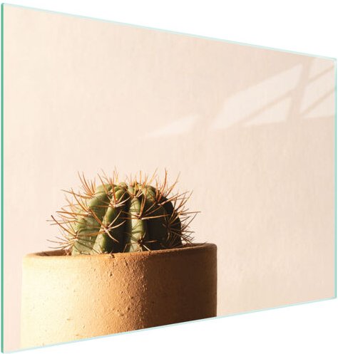 Glasschneidebrett 30x22 Kaktus