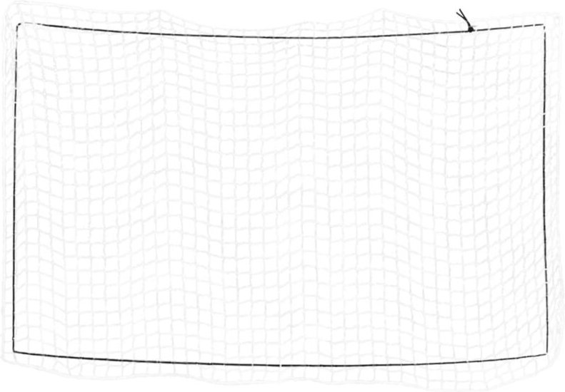 Anhängernetz mit Gummiseil Weiß 4x2,5 m pp Vidaxl