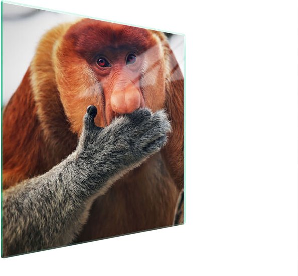 GLASSCHUTZPLATTE FÜR HERD 50x52 NOSACZ