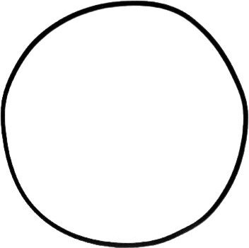 KONVERTERKOLBENDICHTUNG 195,58 mm x 4,47 mm x 1,83 mm 8HP45 845RE 0CM 8HP55 8HP70