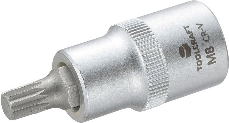Toolcraft - 816087 Innen-Vielzahn (xzn) Steckschlüssel-Bit-Einsatz 8 mm 1/2' (12.5 mm)