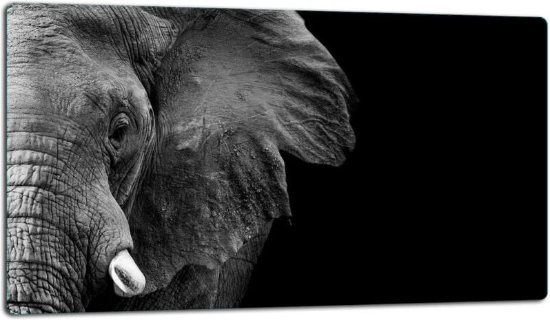 Glasschild Schneidebrett 52x30 Elefant