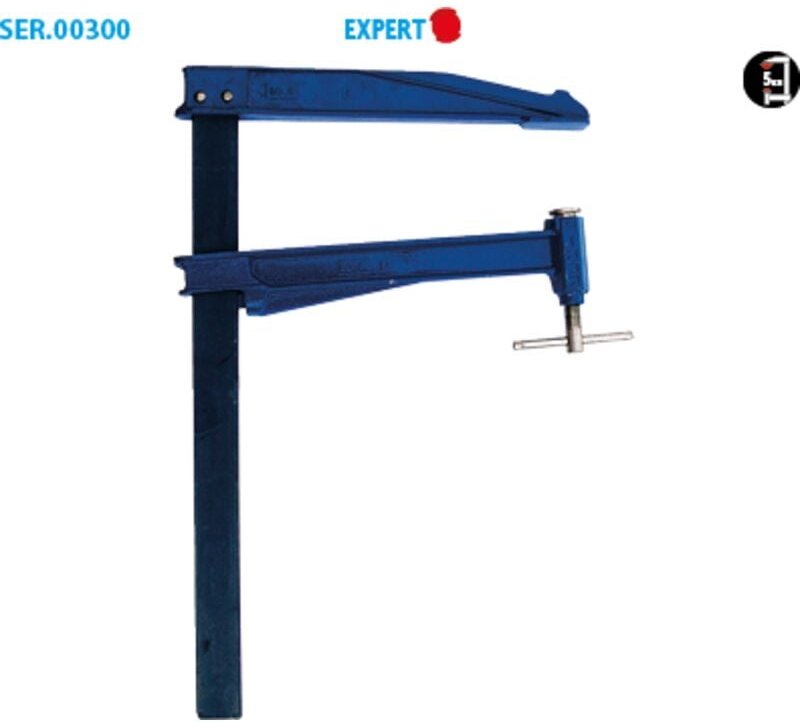 Schraubzwinge mit Pumpe – große Ausladung, Profi-Set, 2 Stück, Ausladung 300, Querschnitt 40 x 10, Spannkraft 1000