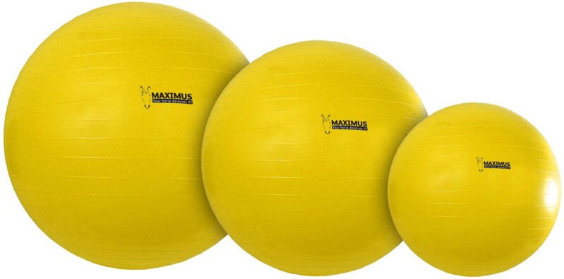 Maximus power spielball 100 cm