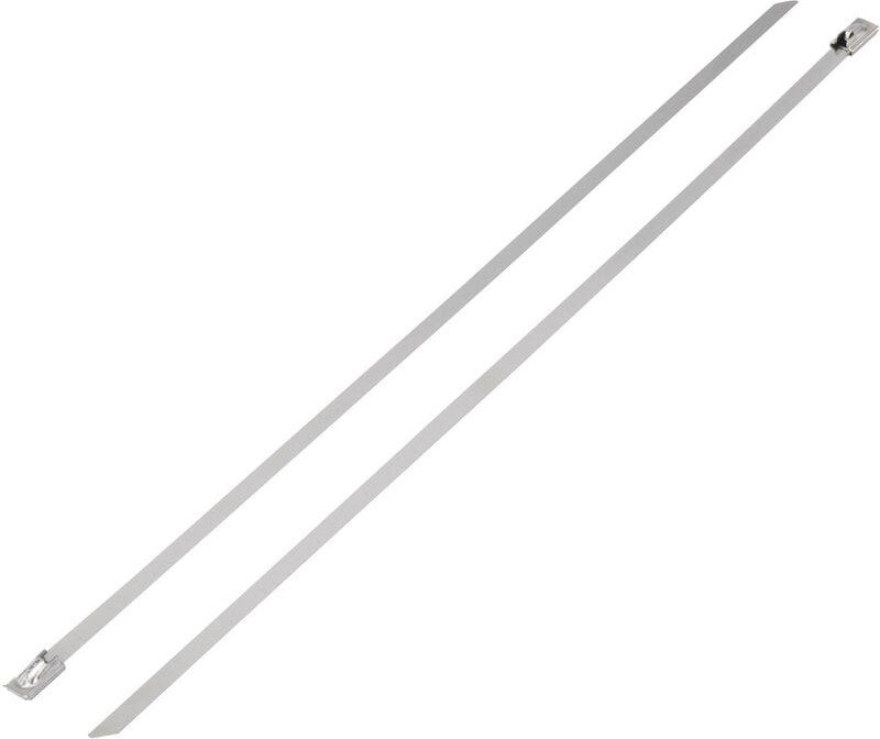 TRU COMPONENTS 1592827 TC-BST-300203 Kabelbinder 300 mm 4.60 mm Silber 1 St.