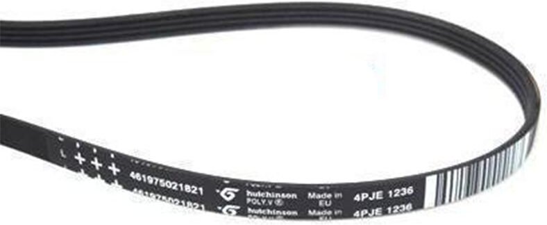 Whirlpool -Waschgürtel 1236 J4 The 481235818206 Original