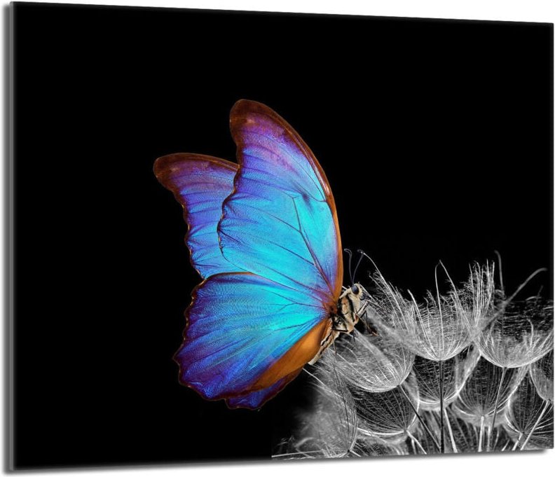 Glasschutzplatte für den Herd 60x52 Butterfly