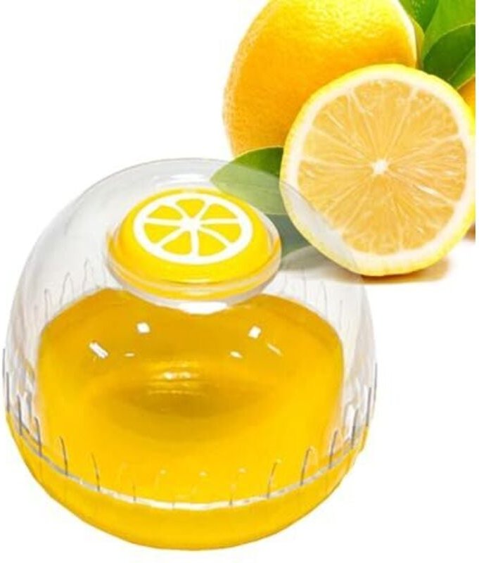 Luftdichte Obstbehälter Mehrzweck-Obstboxen, luftdicht: Lebensmittelschale für Avocado, tragbarer Aufbewahrungsbehälter ...