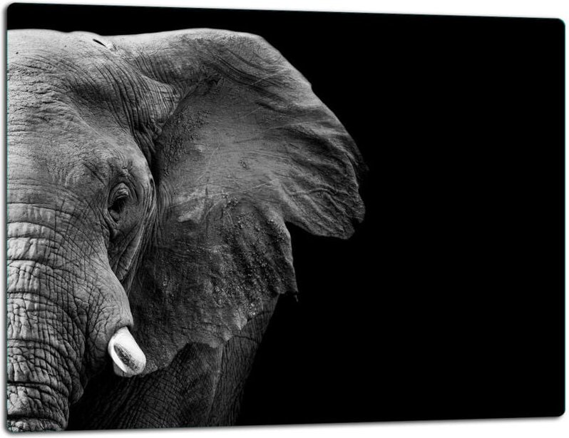 Glasschild Schneidebrett 52x40 Elefant