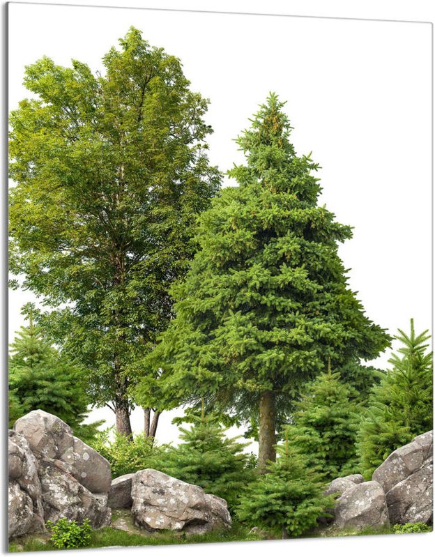 Glasschneidebrett 40x52 Bäume