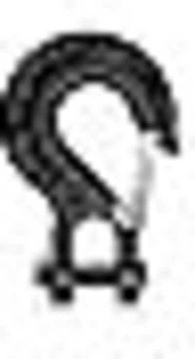 Edelstahl-Schwenkösen-Hebehaken für Gewichtheben, Schiffbau und andere Industriezweige mit Sicherheitsverriegelung, Trag...