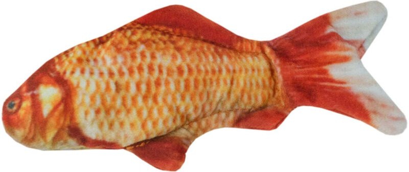 Wildleben katzen goldfisch