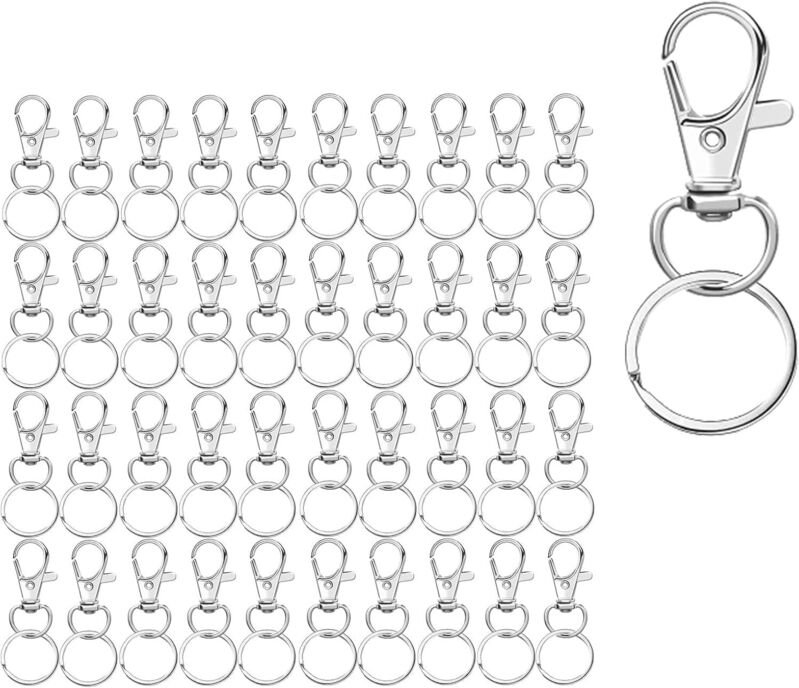 Bluedeer - AnaTI Schlüsselring Edelstahl Klein 40 Stück Karabiner Schlüsselanhänger, Kettenverschluss, Ringe Karabinerha...