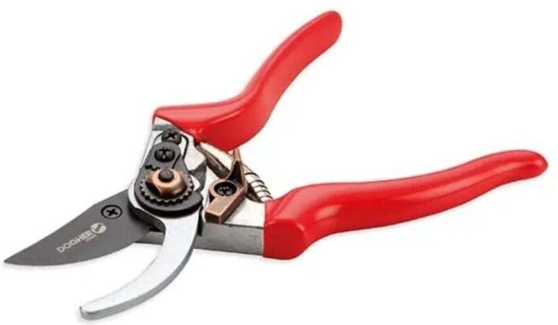 Ersatzschraube für Hochleistungs-Gartenscheren Dogher 960-003TOR