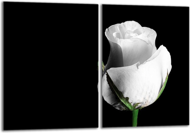 Glasschutzplatte für den Herd 2x40x52 Rose