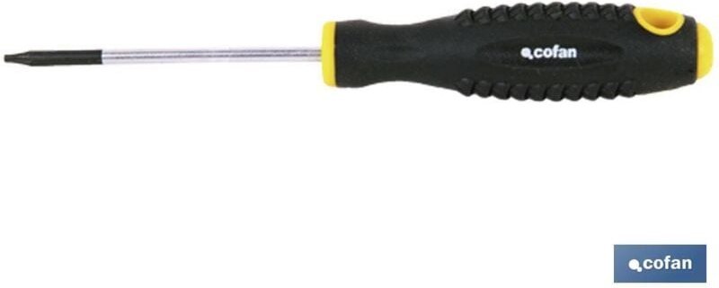 Cr-Molybdän-Torx-Schraubendreher T-15x80