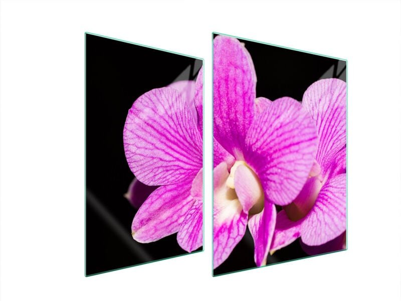 GLASSCHUTZPLATTE FÜR HERD 70x52 ORCHIDEE