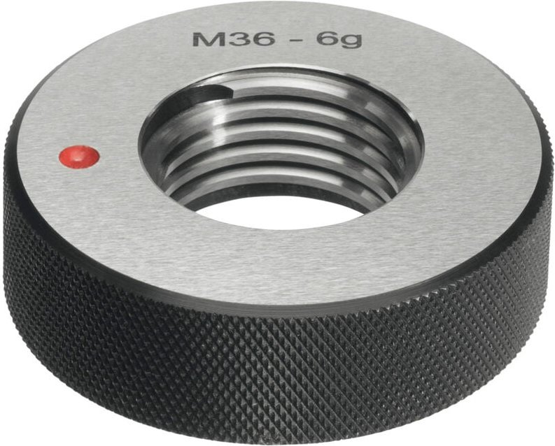 Fortis Aussch.-Gew.-Lehrring M45 6g