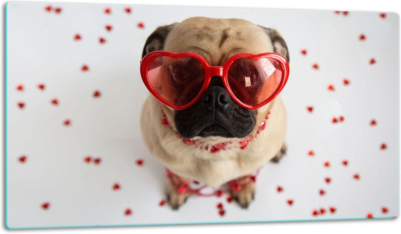 Glasschild Schneidebrett 52x30 Hund