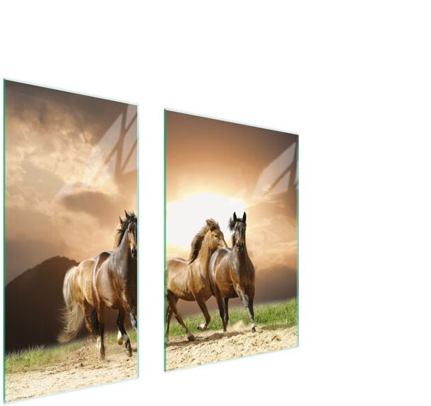 Glasschutzplatte Board 75x52 Pferde