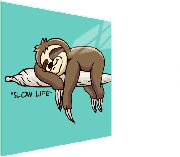 GLASSCHUTZPLATTE FÜR HERD 50x52 FAULTIER