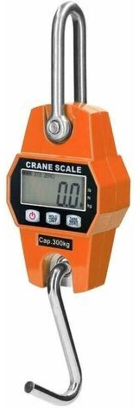 Lablanc - Schwerlastwaage für Hakenkran, 300 kg
