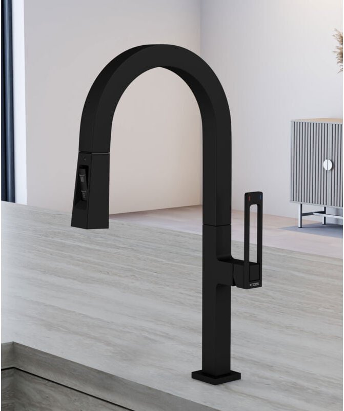 Moderner hoher Spültischmischer mit Handbrause - Schwarz