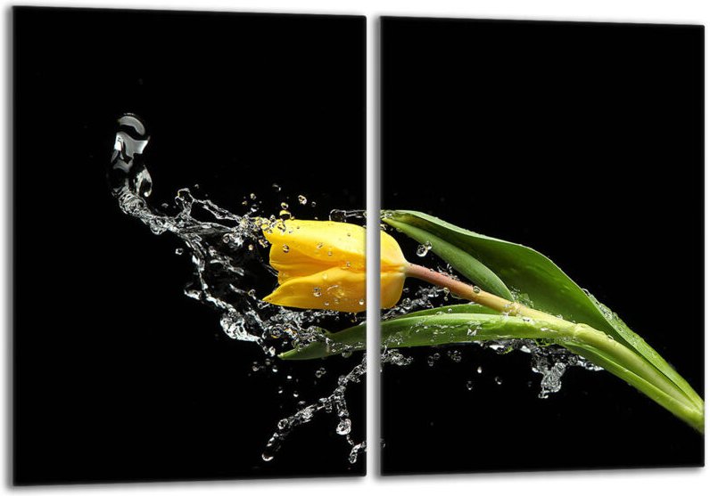 Glasschutzplatte für den Herd 2x40x52 Tulip