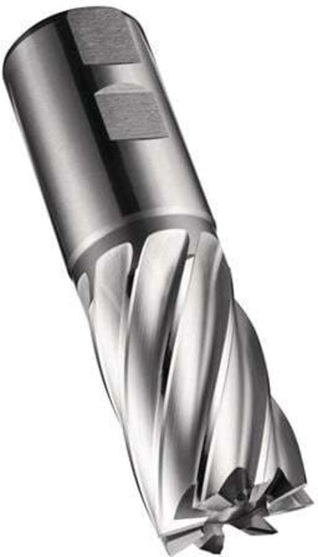 Schaftfräser C247 din 844 k D.36mm Schneiden-L.53mm hss-e-pm Blank 30Grad Z.6