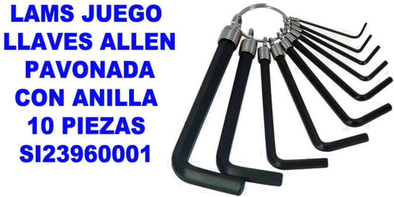 Gebläuter Inbusschlüsselsatz mit Ring, 10-teilig