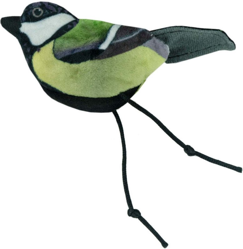 Wild lebende katze kohlmeise