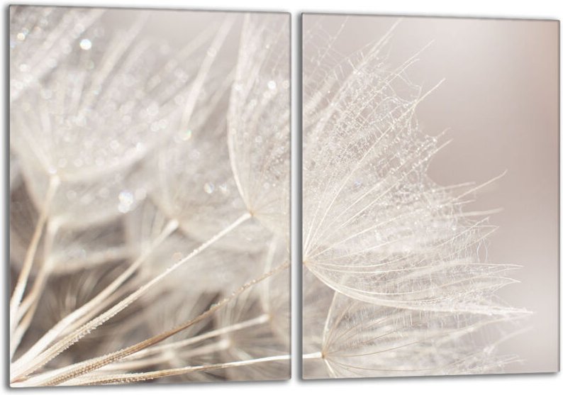 Glasschutzplatte für den Herd 2x40x52 Flower