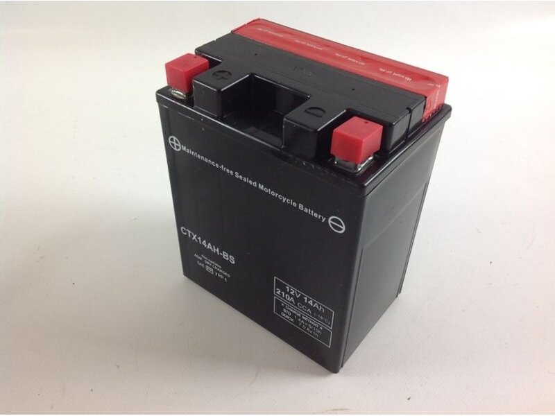 PROGREEN Rasenmähertrimmer verschlossene Starterbatterie 12V 14AH links Pluspol