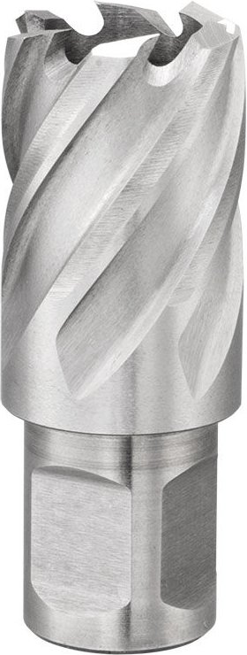 Lochschneider mit 34 mm Weldon-Aufsatz Fervi f011/34