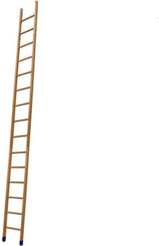 Stufenleiter 17 Stufen - Zu erreichende Höhe 4.23m - BSMEN-450