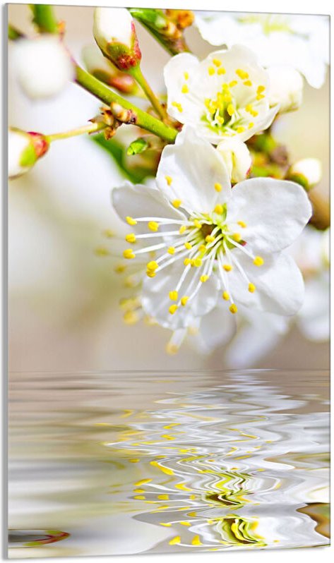 Glasschneidebrett 30x52 Pflaume