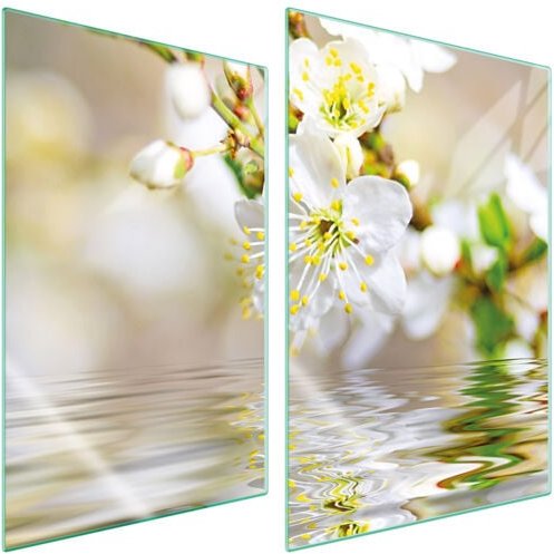 GLASSCHUTZPLATTE FÜR KÜCHE 2x35x52 PFLAUME