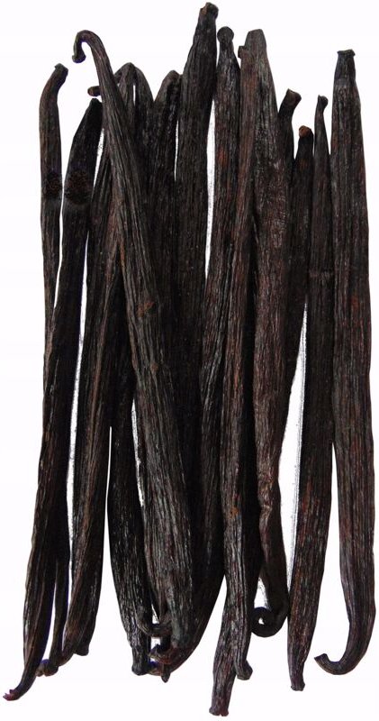 VANILLESTICKS 14 STK. 12-14cm DICKE Vanillesticks